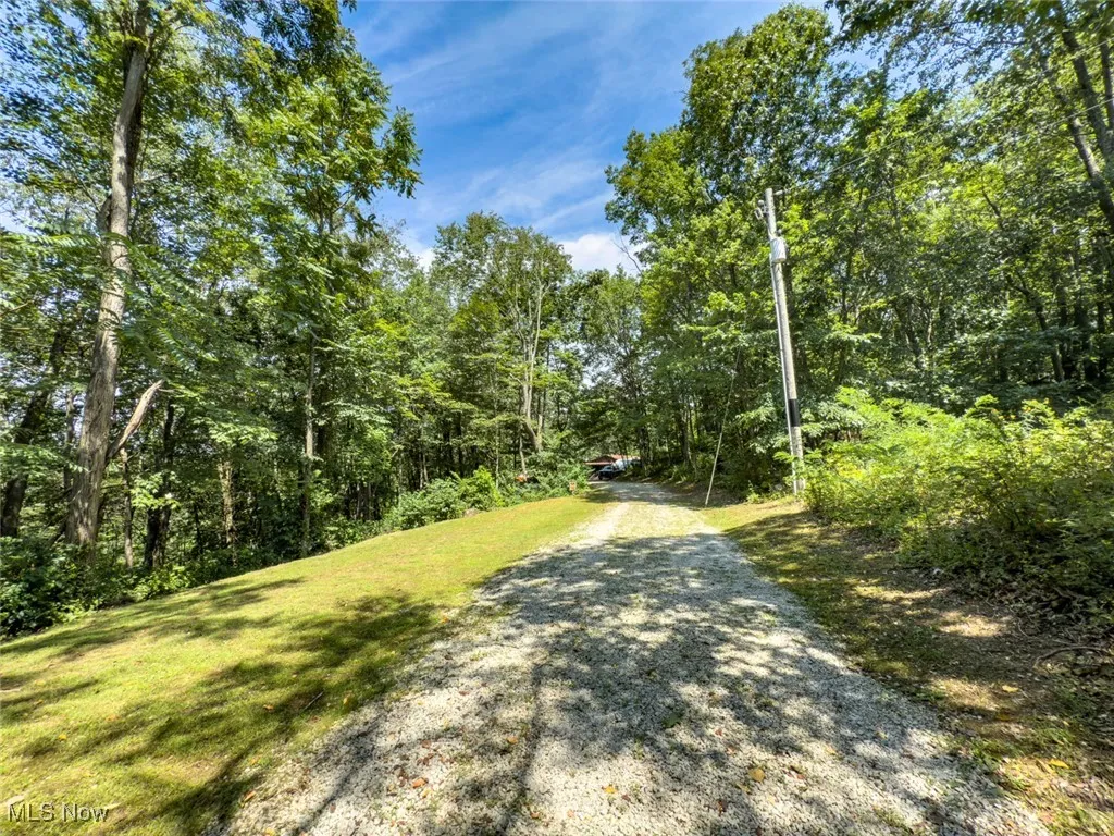 View of dirt / gravel road with a wooded view