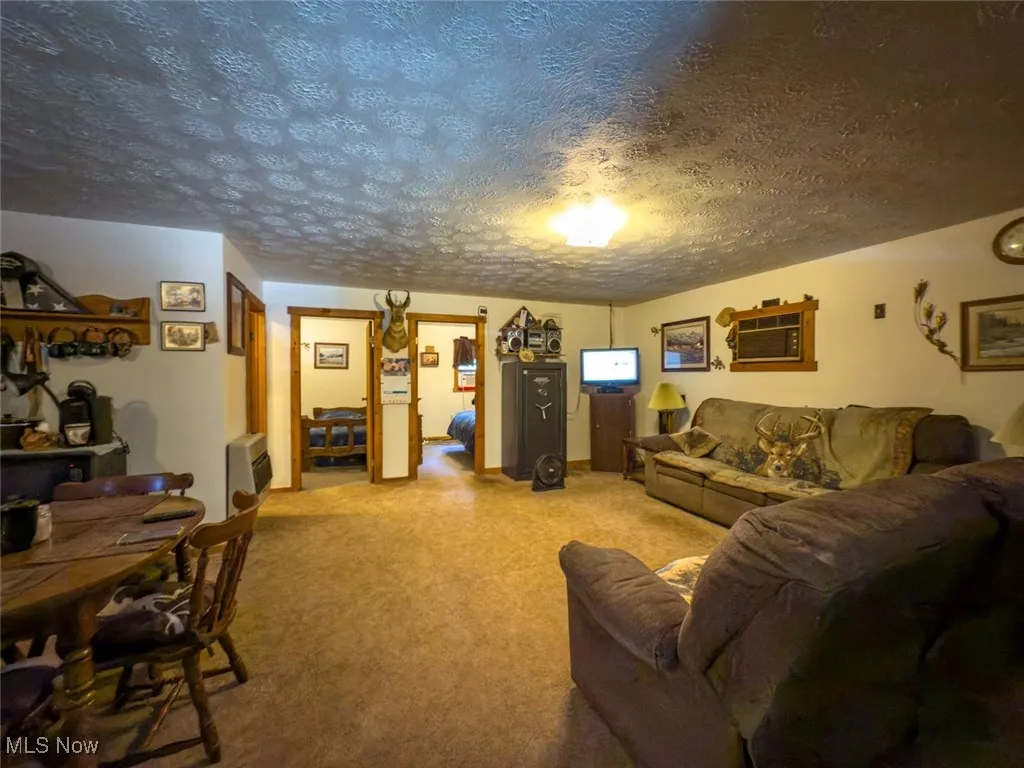 Living room featuring a textured ceiling, light carpet, and heating unit