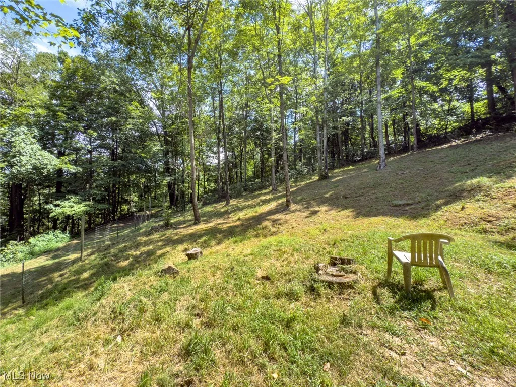 View of green lawn with a view of trees