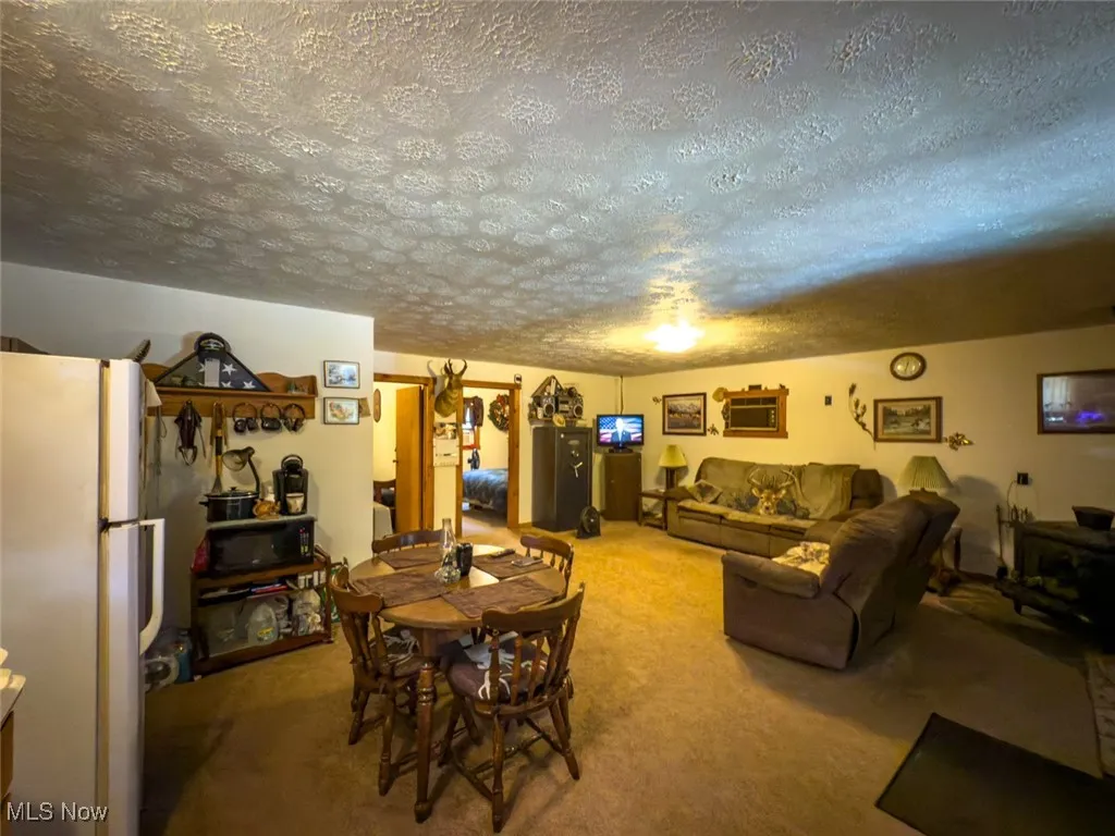 34390 Barber Ridge Road, Lewisville, Ohio,MLS Now Listing ID
