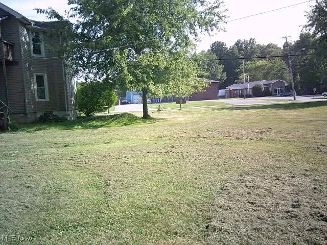 View of grassy yard