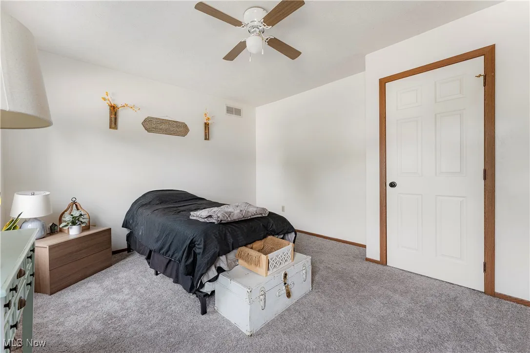 Carpeted bedroom ceiling fan