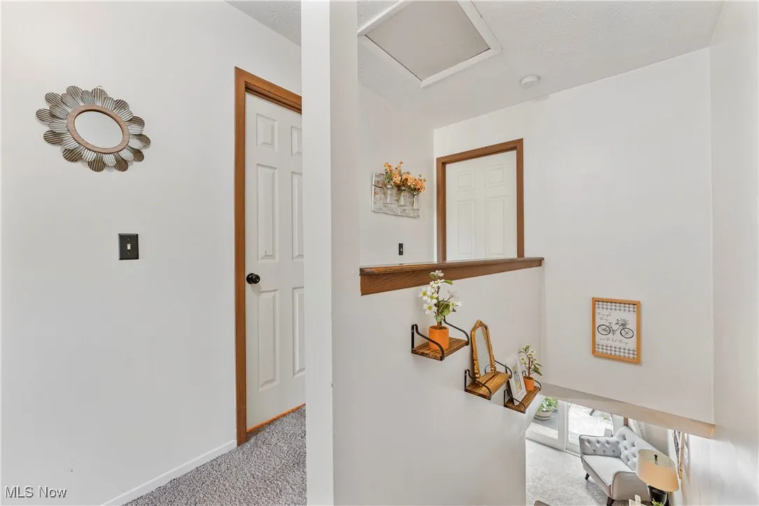 Hallway featuring carpet and a textured ceiling