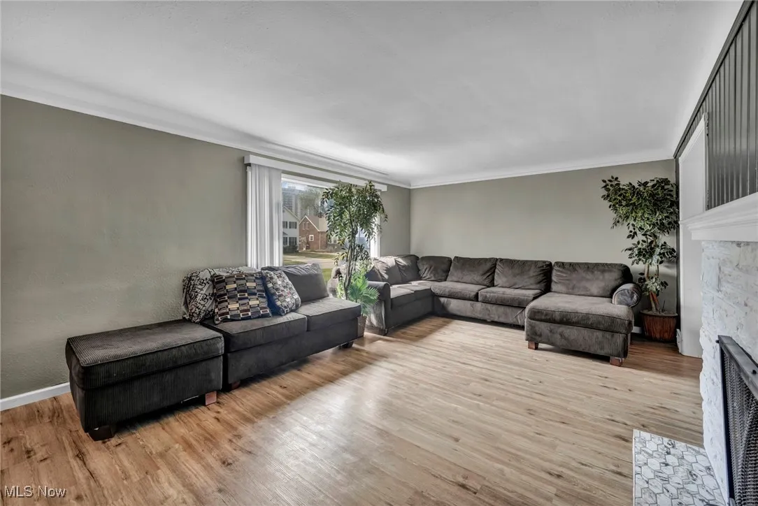 Living area featuring crown molding, light wood-style floors, and a fireplace