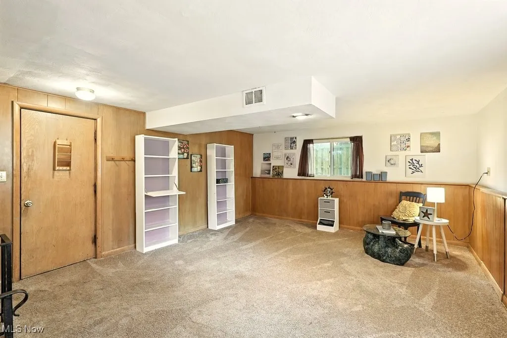 Bonus room with carpet