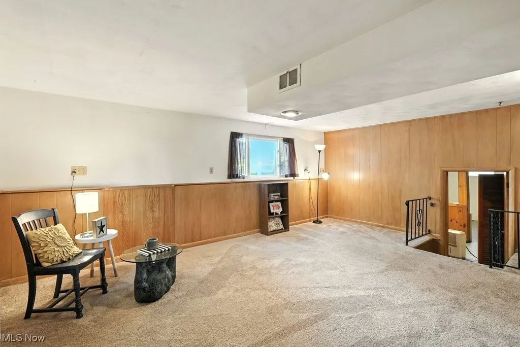 Bonus room with paneling