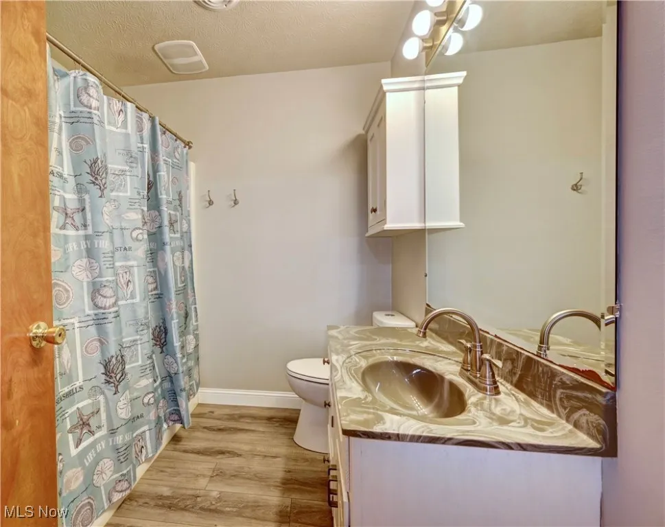 Full bath with wood finished floors, vanity, a textured ceiling, and a shower with shower curtain