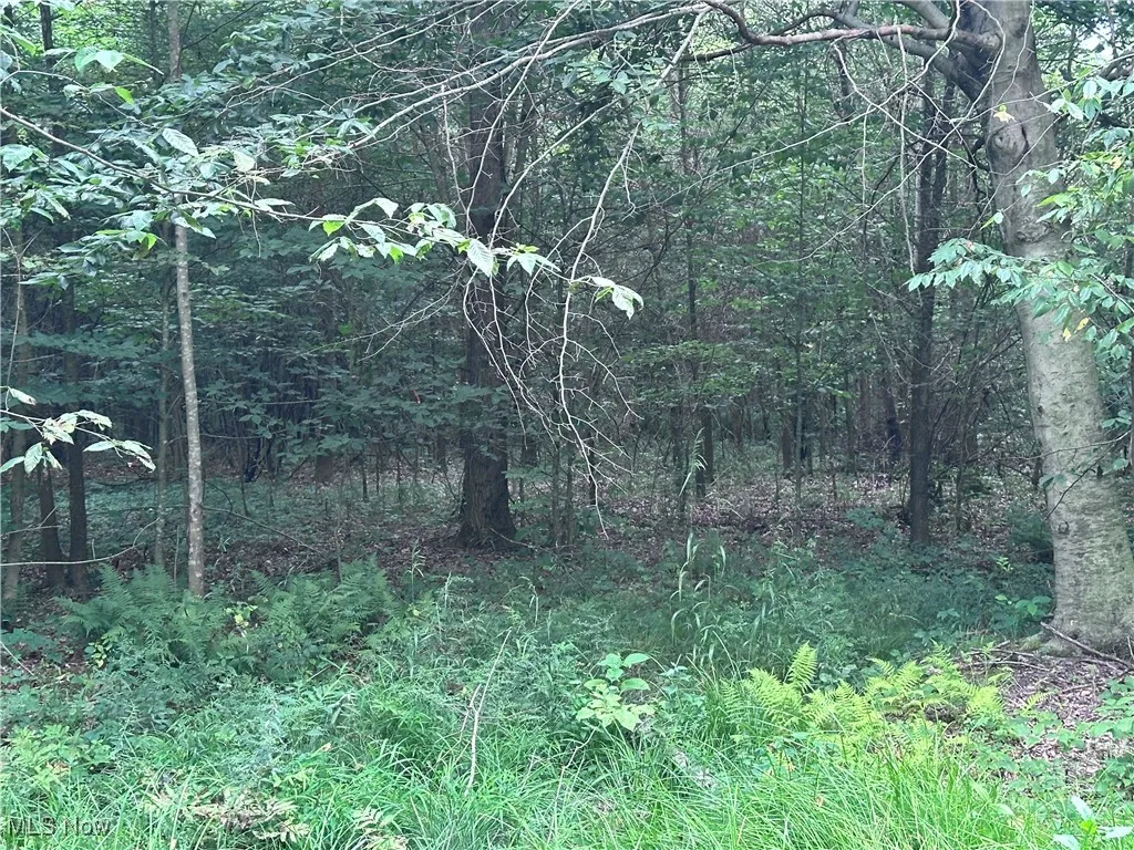 W Western Reserve Road, Berlin Center, Ohio,MLS Now Listing ID
