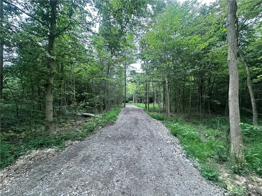 W Western Reserve Road, Berlin Center, Ohio,MLS Now Listing ID