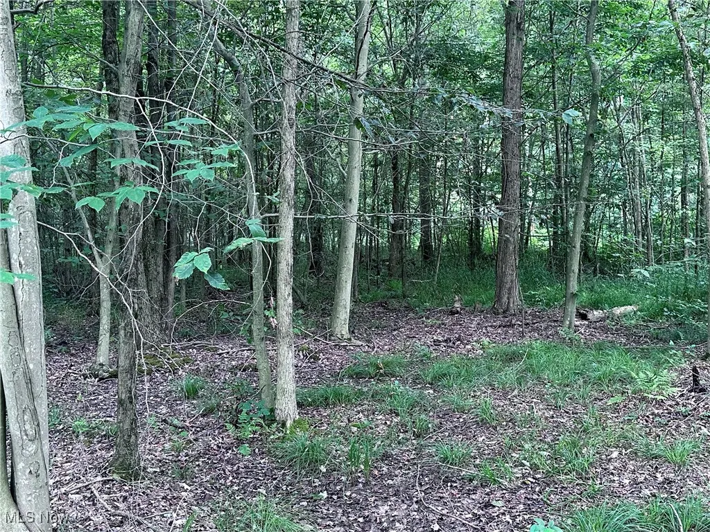 W Western Reserve Road, Berlin Center, Ohio,MLS Now Listing ID