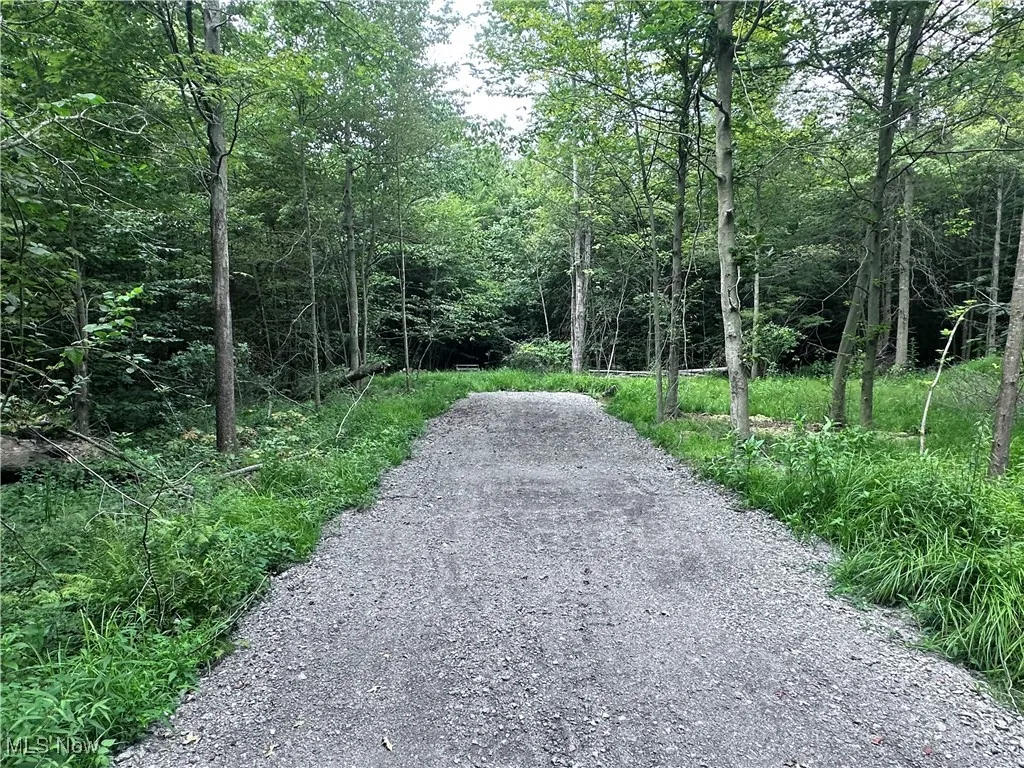 W Western Reserve Road, Berlin Center, Ohio,MLS Now Listing ID