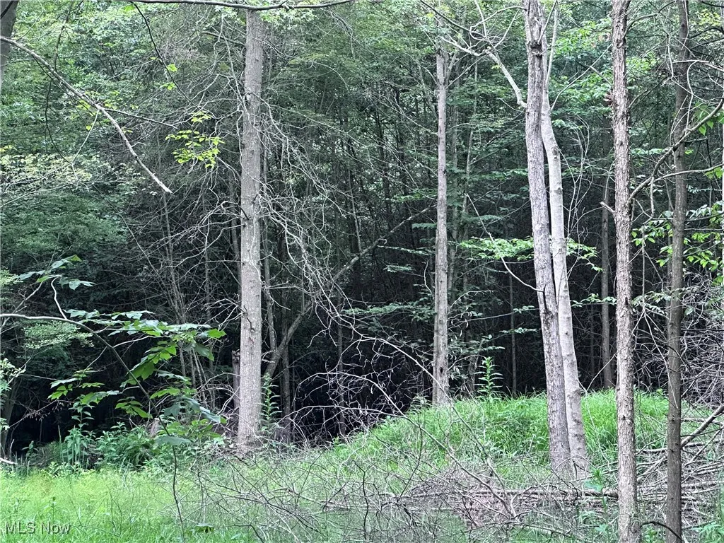 W Western Reserve Road, Berlin Center, Ohio,MLS Now Listing ID
