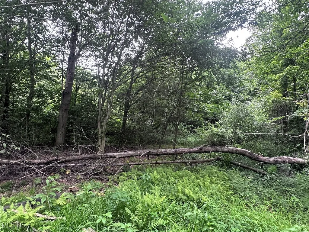 W Western Reserve Road, Berlin Center, Ohio,MLS Now Listing ID