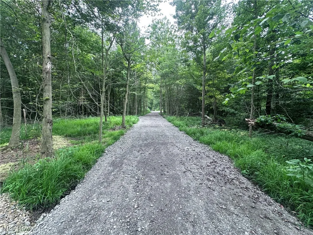 W Western Reserve Road, Berlin Center, Ohio,MLS Now Listing ID