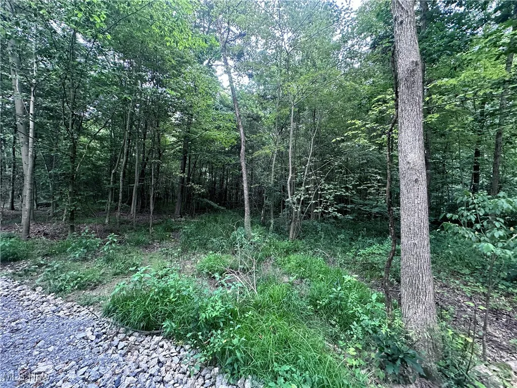 W Western Reserve Road, Berlin Center, Ohio,MLS Now Listing ID