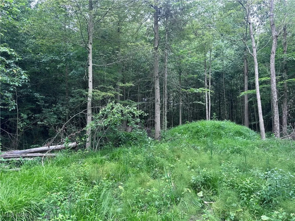 W Western Reserve Road, Berlin Center, Ohio,MLS Now Listing ID