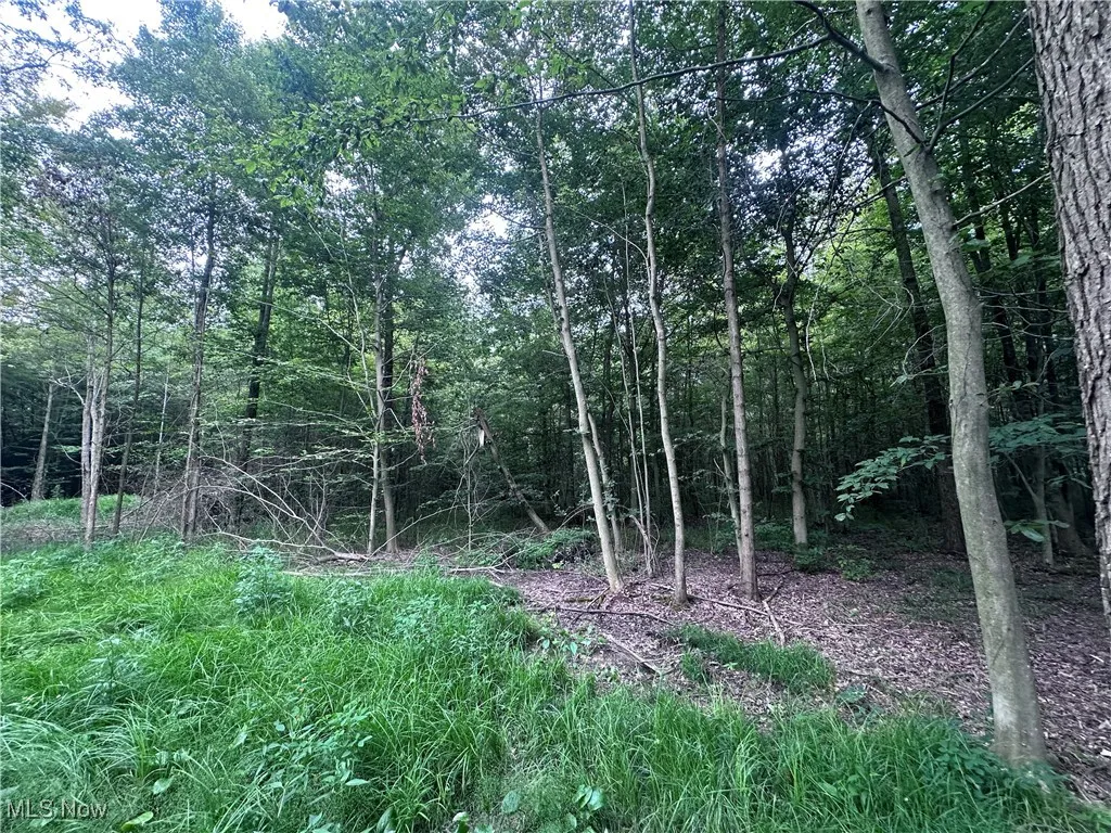 W Western Reserve Road, Berlin Center, Ohio,MLS Now Listing ID