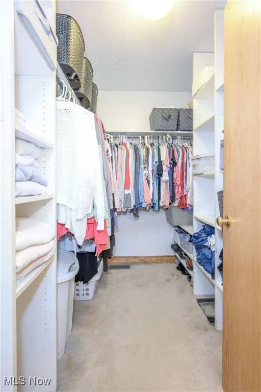 Spacious closet with carpet