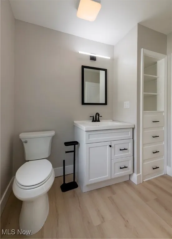 Bathroom with vanity and wood finished floors