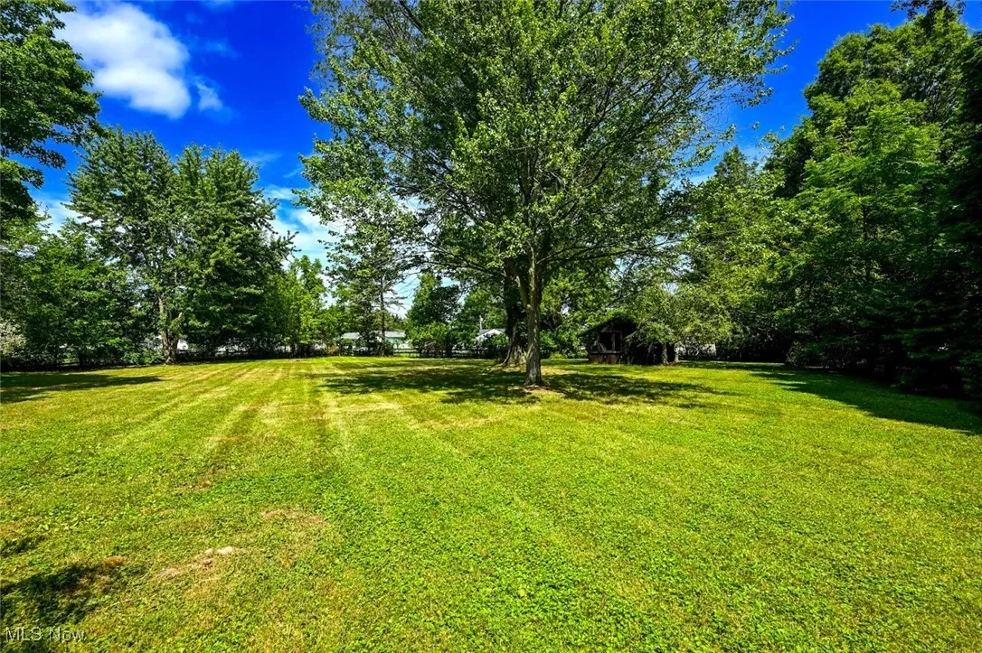 *BACK YARD MOSTLY FENCED IN WITH SHED ~