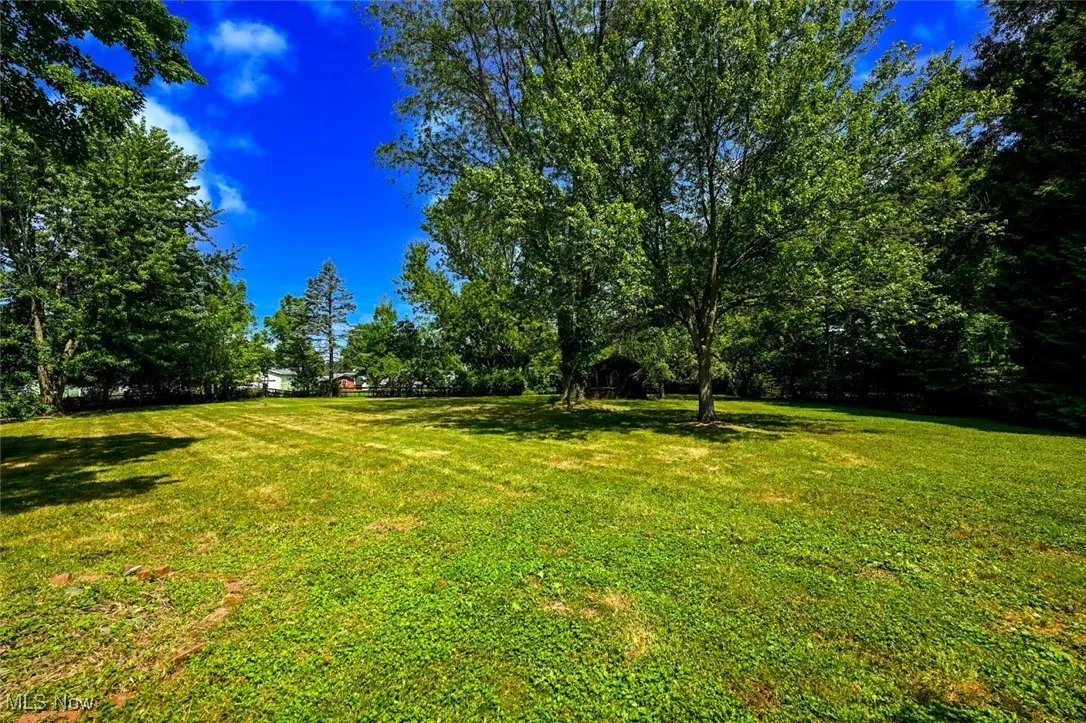 *BACK YARD ~