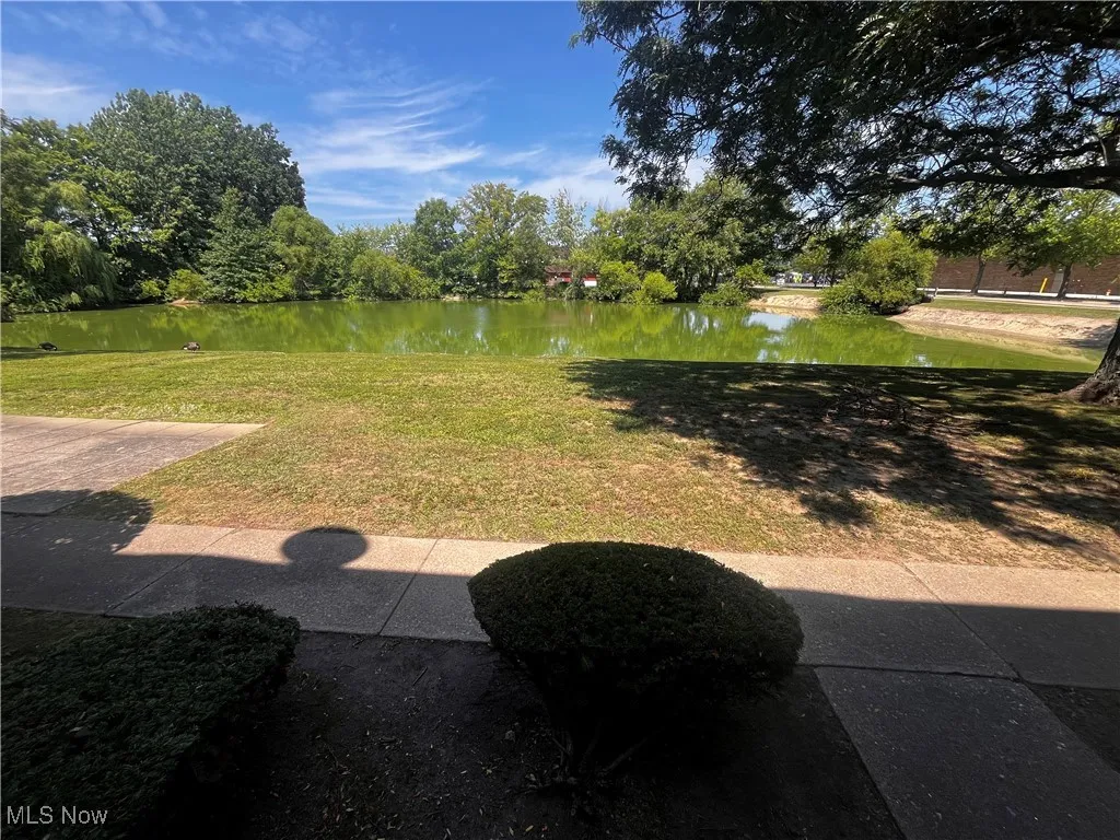 View of green lawn with a water view