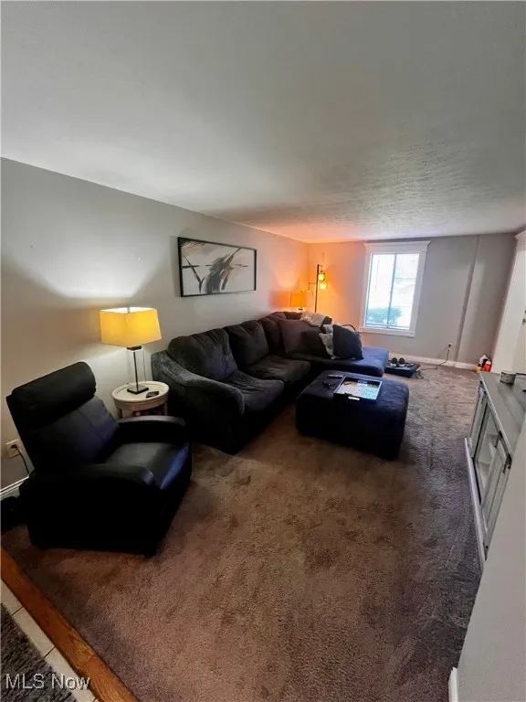 Living room with carpet and baseboards