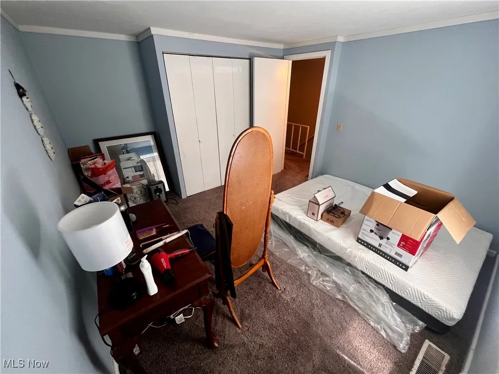 Office area with ornamental molding and carpet flooring