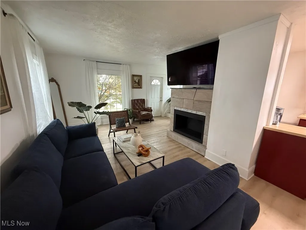 Living room with fireplace
