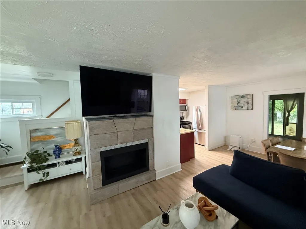 living room with fireplace