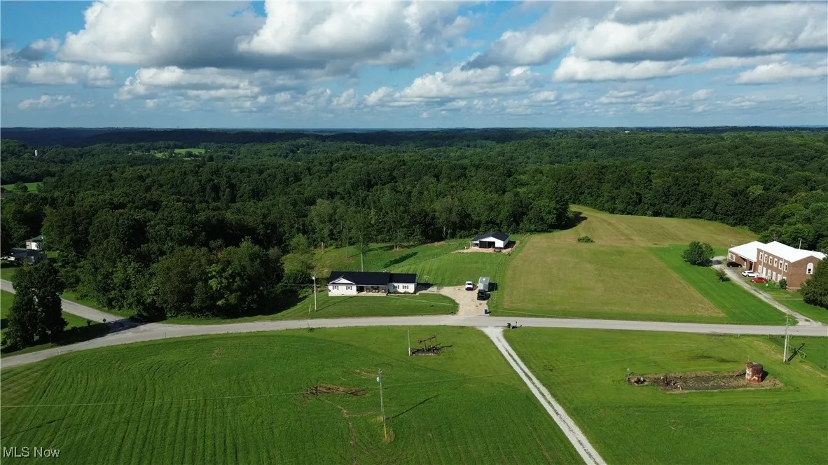 Drone / aerial view of a forest
