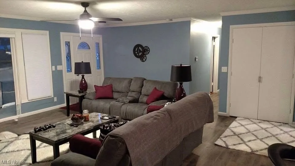 Living room featuring crown molding, wood finished floors, and ceiling fan