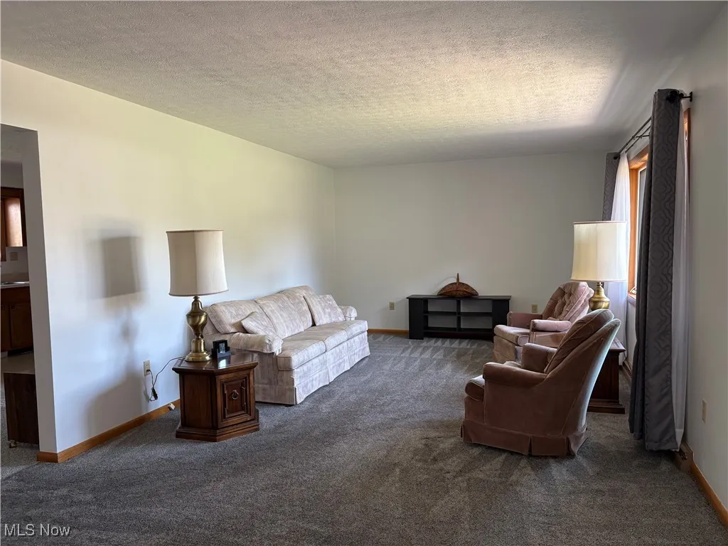 Living room featuring carpet floors and a textured ceiling