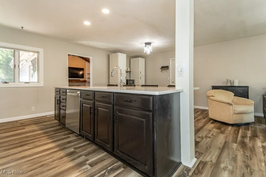 Kitchen featuring open floor plan, light countertops, stainless steel dishwasher, dark wood-type flooring, and recessed lighting