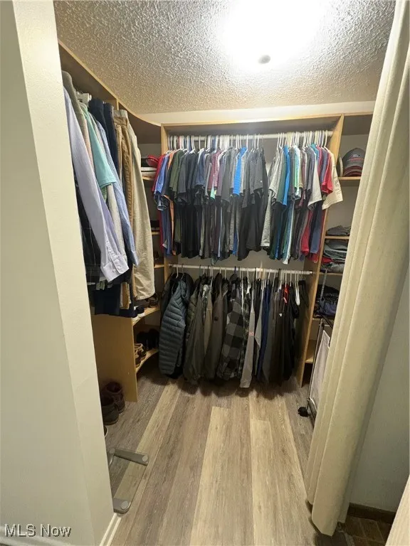 Walk in closet with wood finished floors