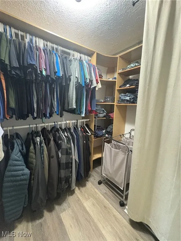 Spacious closet featuring wood finished floors