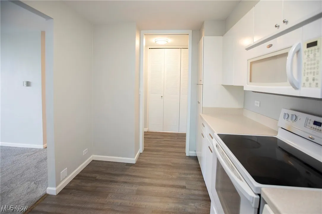 12700 Lake Avenue # 1308, Lakewood, Ohio 44107,MLS Now Listing ID