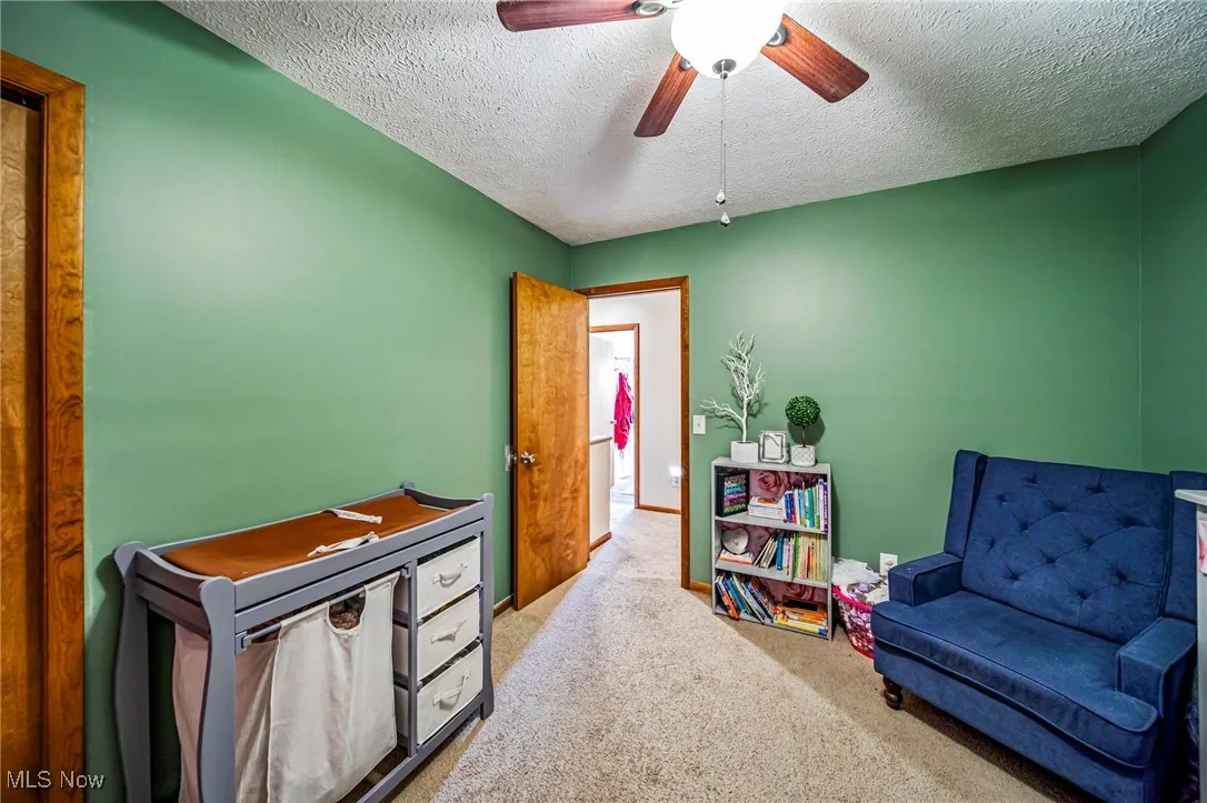 Living area featuring carpet flooring, a textured ceiling, and ceiling fan