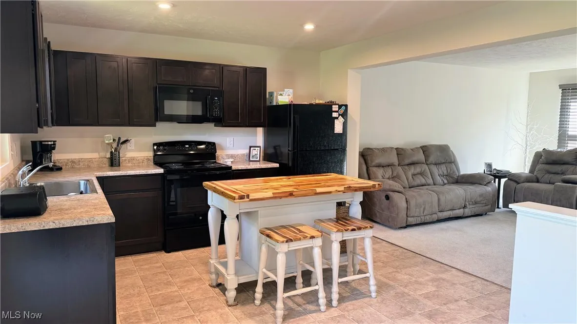 196 Raintree Lane, Painesville, Ohio 44077,MLS Now Listing ID