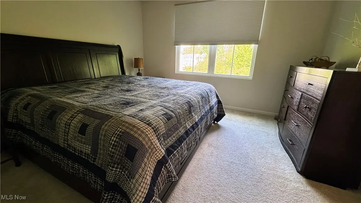 196 Raintree Lane, Painesville, Ohio 44077,MLS Now Listing ID