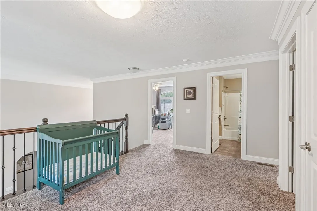 12091 Cora Court, Concord, Ohio 44077,MLS Now Listing ID