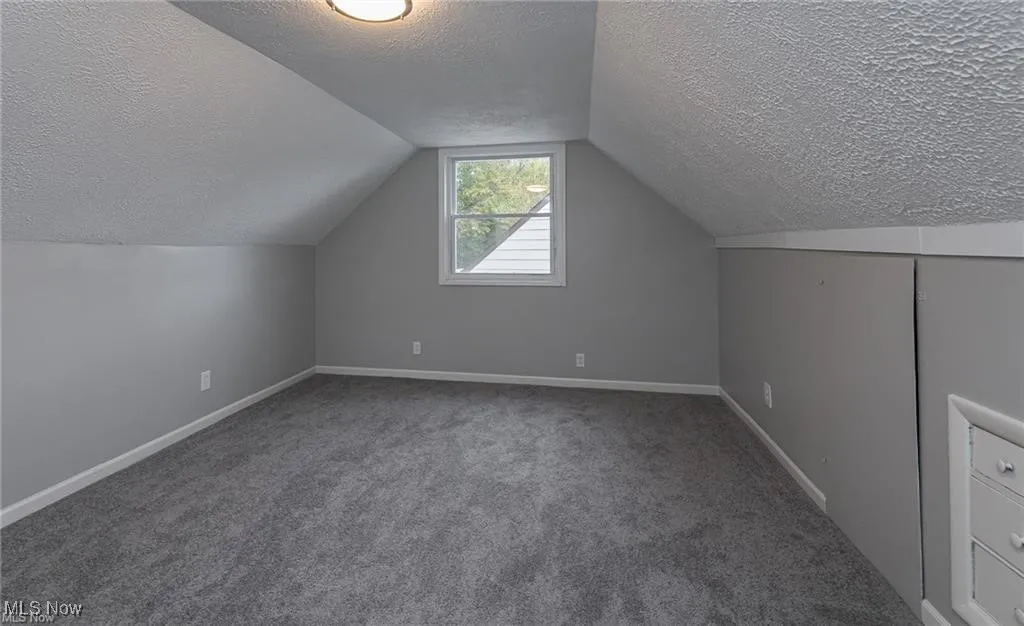 Additional living space with carpet, a textured ceiling, and vaulted ceiling