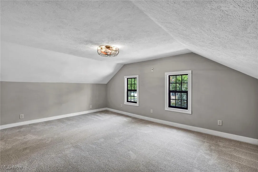 Bonus room featuring vaulted ceiling, carpet, and a textured ceiling