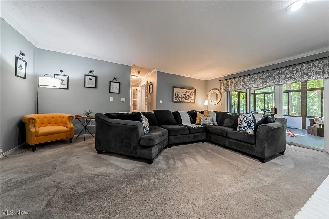 Living area featuring crown molding and carpet flooring