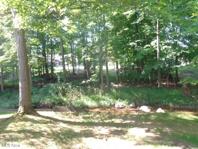 Side Yard