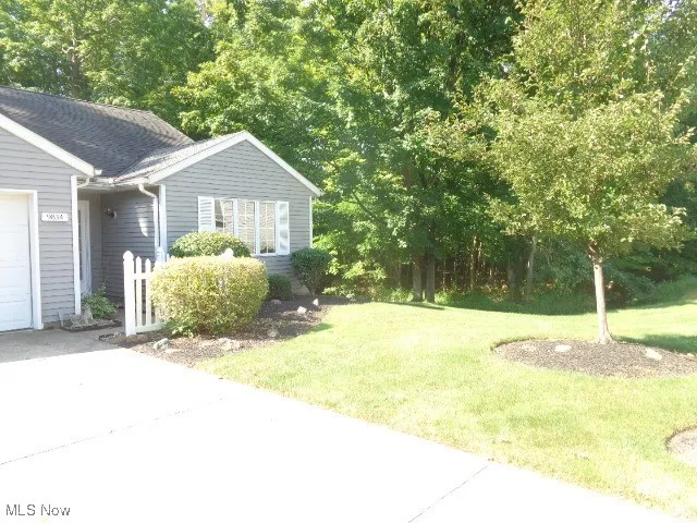 Front Yard