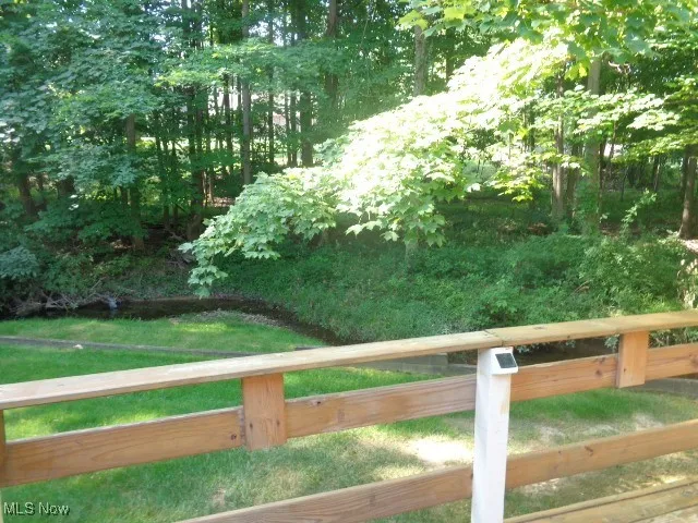 Backyard View