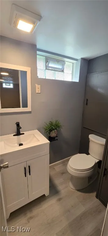 Bathroom with vanity, light wood-type flooring, and plenty of natural light