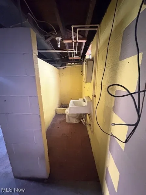 Unfinished below grade area with a sink