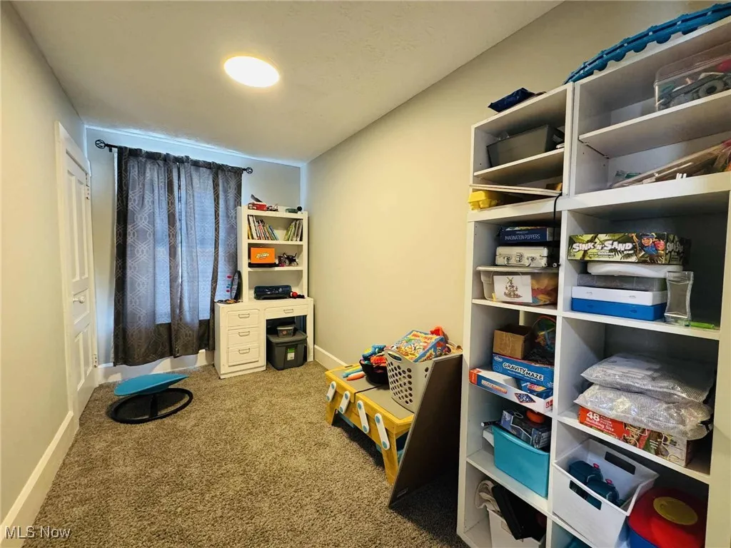 Recreation room featuring carpet floors and baseboards